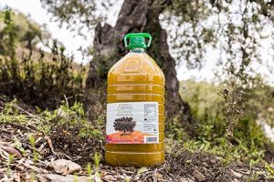 Aceite de oliva virgen extra 5 litros sin filtrar arbol verdial